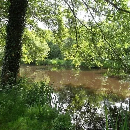 Zecamping 3 Etoiles Anime Animaux Acceptes Familial Piscine Couverte Parque de Campismo Avrille (Vendee)