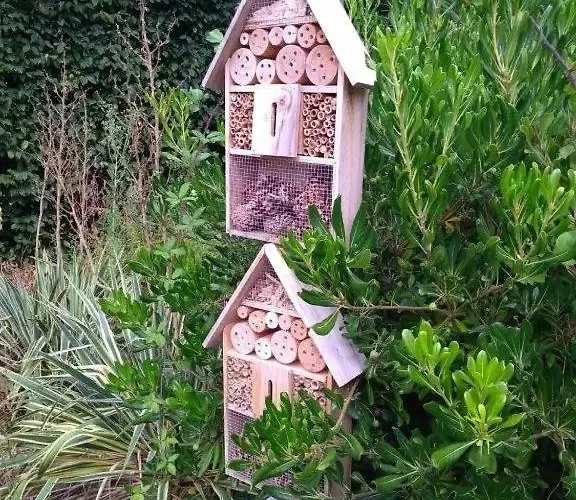 Zecamping 3 Etoiles Anime Animaux Acceptes Familial Piscine Couverte