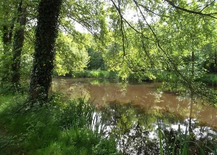 Zecamping 3 Etoiles Anime Animaux Acceptes Familial Piscine Couverte Camping Avrillé